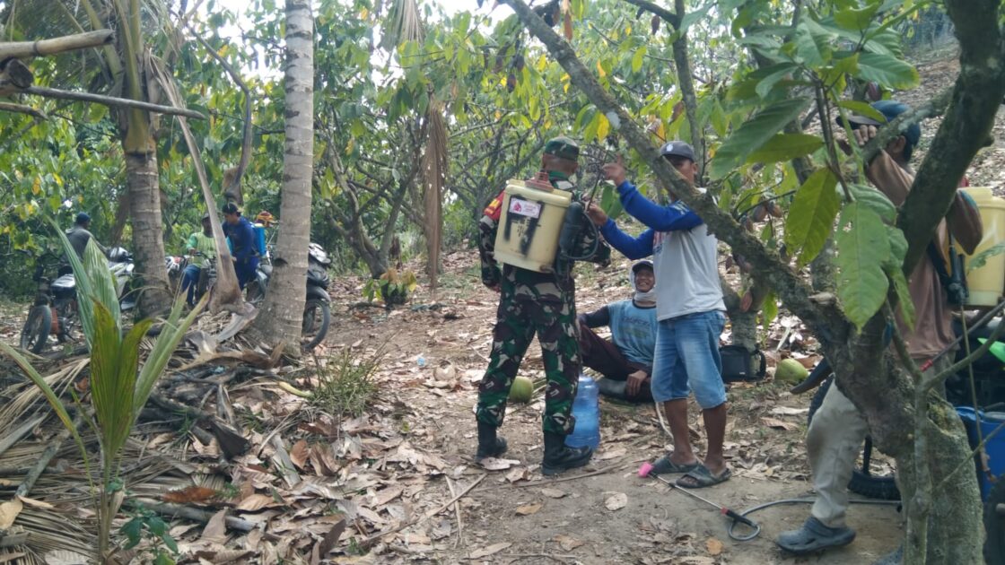 Diduga Puntung Rokok Picu Kebakaran Kebun, Polisi Pastikan Api di Lembah Bomban Berhasil Dipadamkan